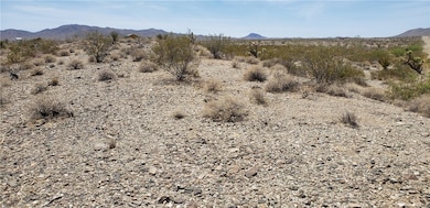 000 Bluepoint Dr, Meadview, AZ 86444 - photo 6