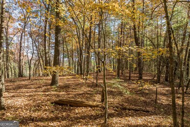 TR 1 Old Anderson Creek, Ellijay, GA 30536 - photo 7