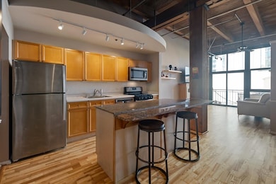 Bicycle Station Lofts unit 403, Chicago, IL 60616 - photo 7