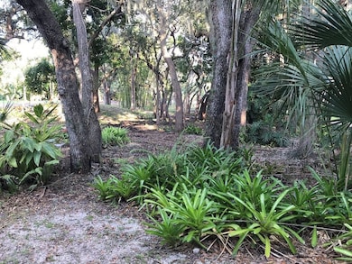 4407 S Shade Ave, Sarasota, FL 34231 - photo 5