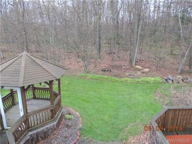 Backyard. The back yard and land behind the site..