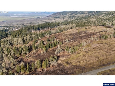 Lot 9th St, Harrisburg, OR 97446 - photo 4