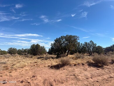 8362 Cupples Trail, Snowflake, AZ 85937 - photo 3
