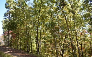 Additional View