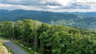 L59 Eagle Cliff Trail, Banner Elk, NC 28604 - photo 5