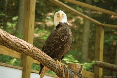 Nature Center
