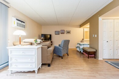 255 S West Ave unit 202, Elmhurst, IL 60126 - photo 4