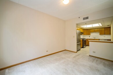 820 Graceland Ave unit 403, Des Plaines, IL 60016 - photo 6