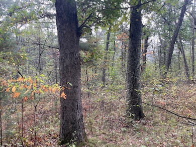 V/L S Spruce, Newaygo, MI 49337 - photo 7