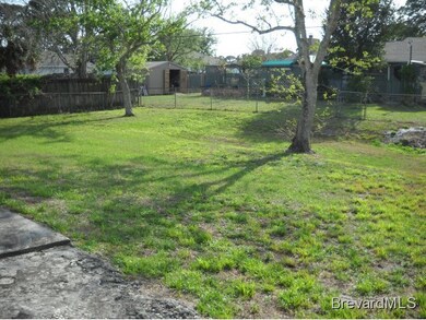 Large Backyard
