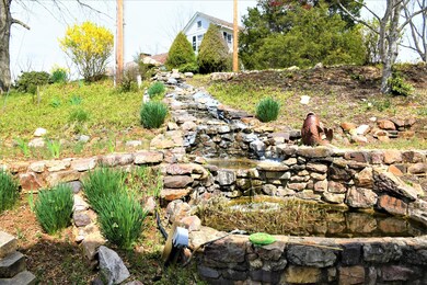 Fish Pond