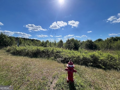 0 Highway 117 unit 10591058, Rentz, GA 31075 - photo 6