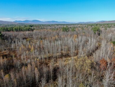 DJI_0544