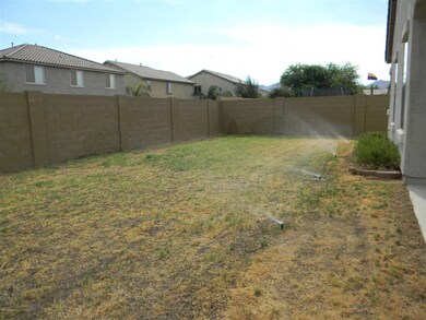 Back yard