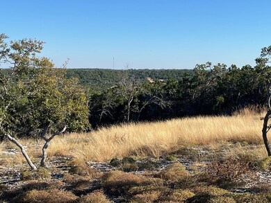 Tract 3 Rare Eagle Dr unit 3, Fredericksburg, TX 78624 - photo 4