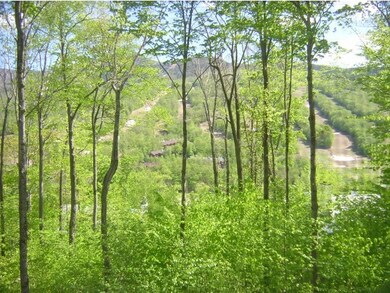 132 Coolidge Falls Rd unit B, Lincoln, NH 03251 - photo 3