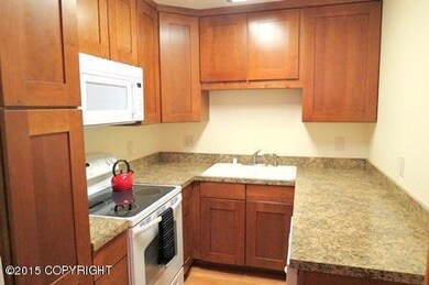 Condo_Kitchen