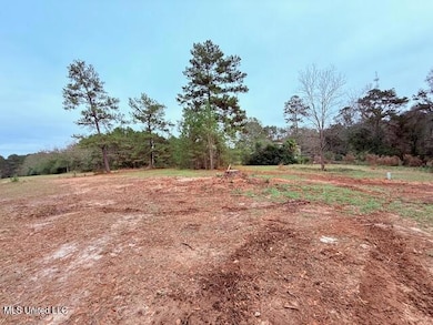0 Cemetery Rd, Tylertown, MS 39667 - photo 3