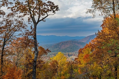 333 Walnut Ridge, Ellijay, GA 30536 - photo 2