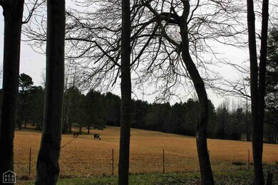 0 Greene Road 726, Paragould, AR 72450 - photo 4