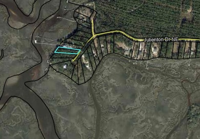 Lot 163 Julienton Dr NE, Townsend, GA 31331 - photo 3