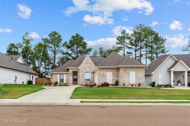 137 Herons Bay Cir, Madison, MS 39110 - photo 2