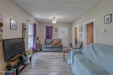 715 N Oak St, Webb City, MO 64870 - photo 3