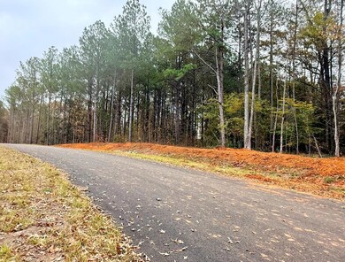 114 Rolling Meadows Way, Waverly Hall, GA 31831 - photo 7