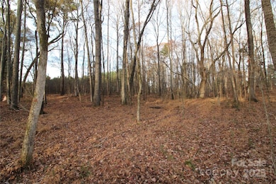 14.5+/-AC Pioneer Rd, York, SC 29745 - photo 4