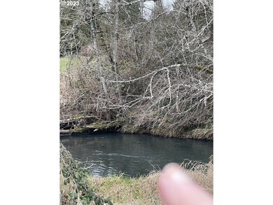 Pond