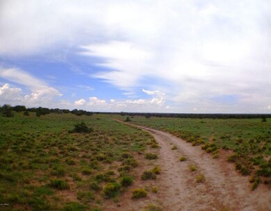 Co RD 7407