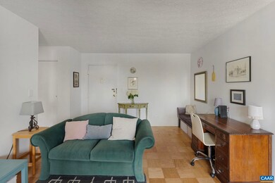 511 1st St N unit 309, Charlottesville, VA 22902 - photo 4