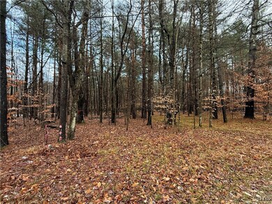 5098 Rugby Rd, Greig, NY 13312 - photo 3