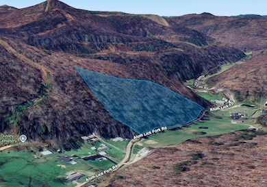 0 Alum Lick Fork Rd, Martin, KY 41649 - photo 2