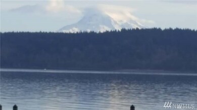 10109 Selma Cir, Anderson Island, WA 98303 - photo 2