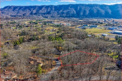 Tbd Blackheath Rd, Kingsport, TN 37660 - photo 3