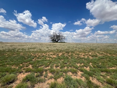 000 Round Top Rd, Snyder, TX 79549 - photo 5