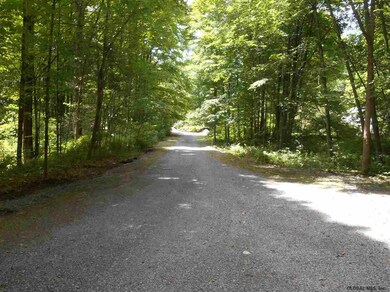 74 Heisler Rd, Rock City Falls, NY 12863 - photo 6