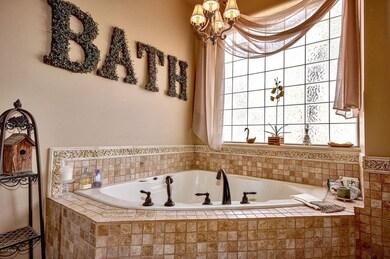 Master bath Tub