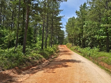 0 Booger Hollow Rd unit 23734488, Dadeville, AL 36853 - photo 5