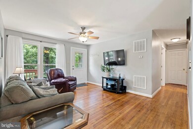 7169 Eggbornsville Rd, Rixeyville, VA 22737 - photo 6