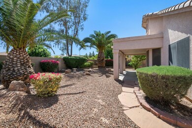 Low Maintenance Backyard