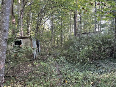 245 Woolf Pass Ln, Sparta, TN 38583 - photo 6