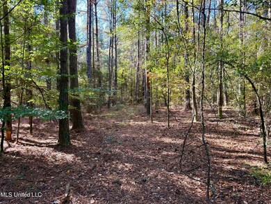 1088 Freeman Rd, Magnolia, MS 39652 - photo 6