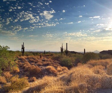 Late Afternoon View