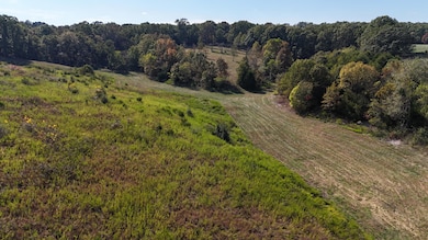 2-C White Ash Rd, North Galloway Township, MO 65669 - photo 3