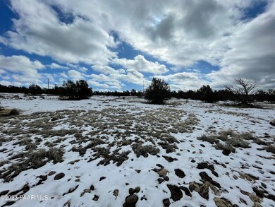 2088 N Elvira Cir, Ash Fork, AZ 86320 - photo 3