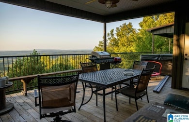 1190 Skyway Dr, Lineville, AL 36266 - photo 3