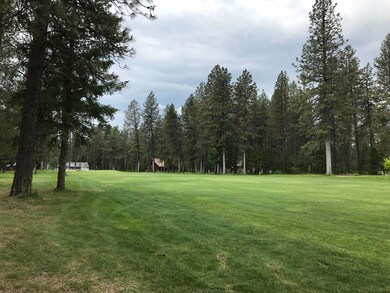 Pic 4