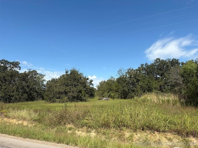 3150 Mobil Rd, Healdton, OK 73438 - photo 4